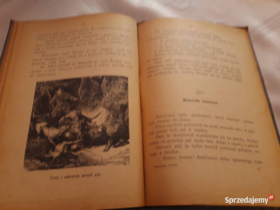 Towarzysze Jehudy 1 3 Dumas 1912 opr il wyd1 Iwno sprzedam