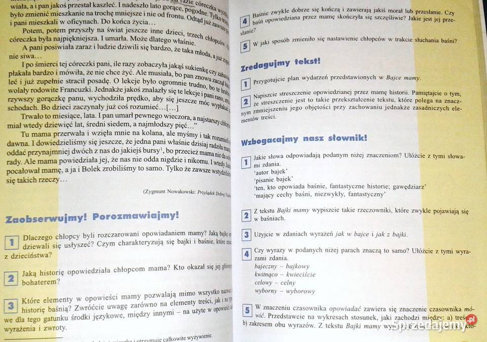 Mowa polska 2 Magdalena Danielewiczowa lubelskie Chełm