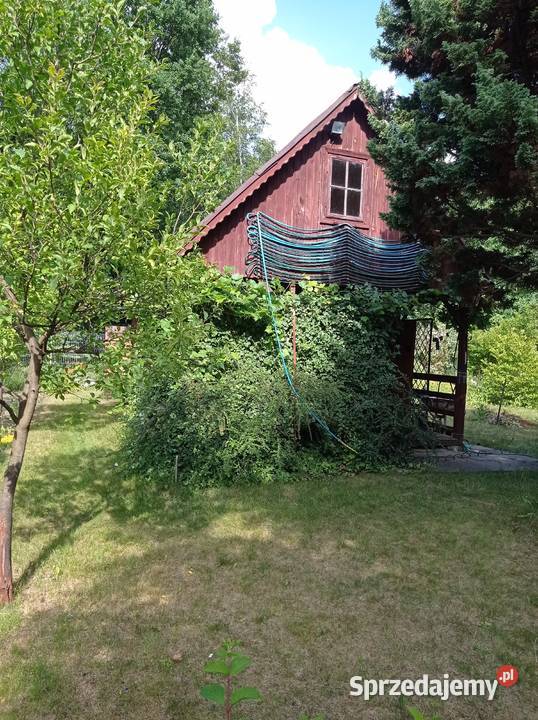 Sprzedam działkę ROD Chobot Warszawa