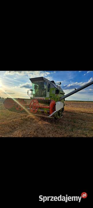 Claas dominator 96 Ostrów Wielkopolski