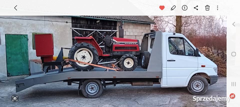 usługi prace ogrodowe