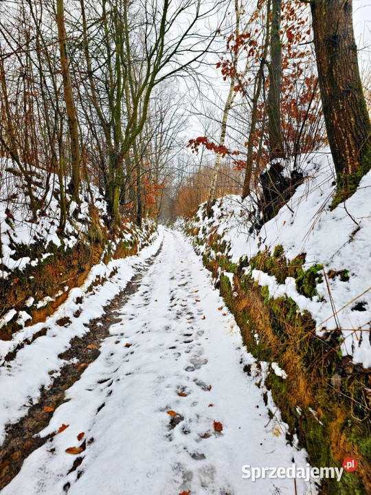 Drewniany dom z dużą działką pole sad las utwardzona Karczmiska Pierwsze sprzedam