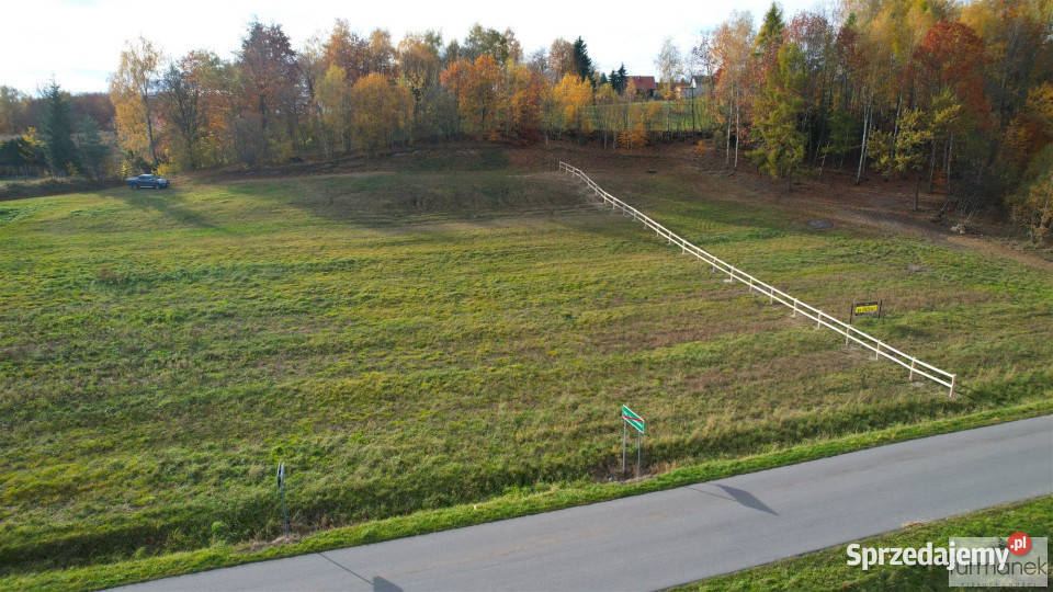 Sprzedaż działki TeodorówkaKolonia 2636m2 kanalizacja Teodorówka-Kolonia