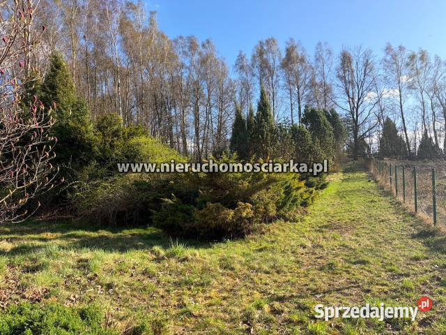 Działka 3750 metrów Wodzisław Śląski telefon Sprzedaż