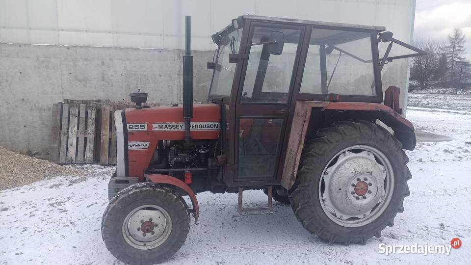 Massey Ferguson 255 MF255 Gąsiorowice