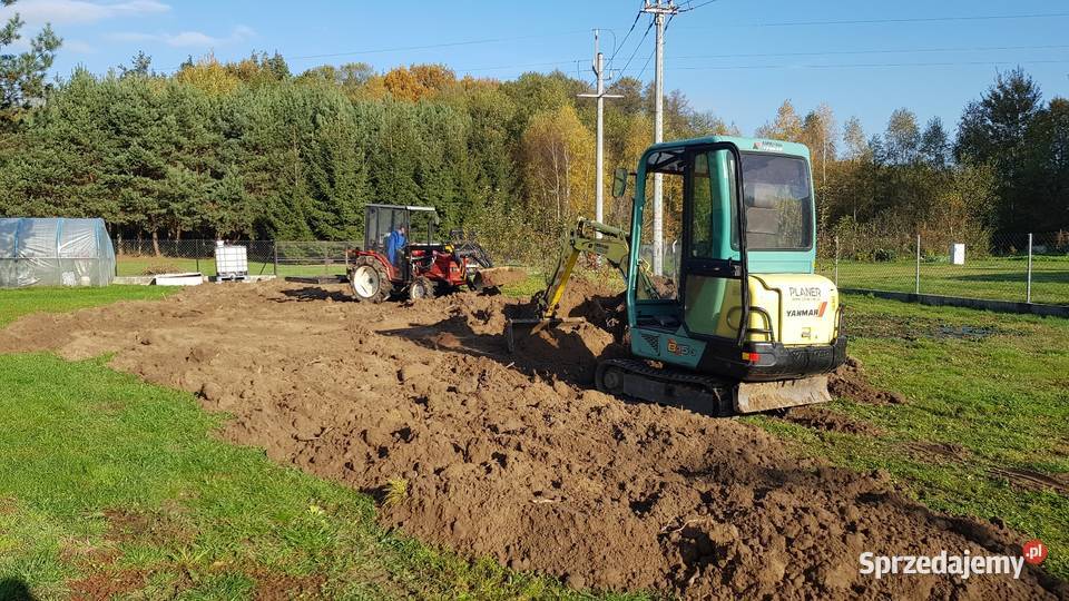 Wycinka przycinanie drzew czyszczenie działek z podkarpackie Dębica