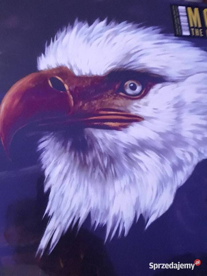 Muzyka niezwykła MOGWAI The Hawk is Howling 2 LP podkarpackie Rzeszów