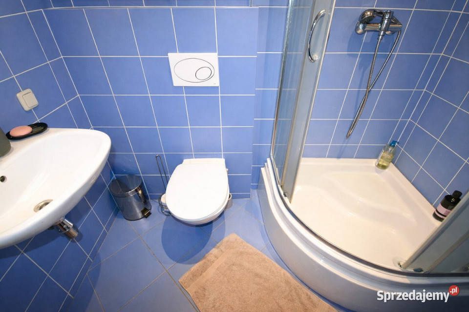 Mieszkanie Nałęczów 120m2 3pokojowe Rok budowy 0 Wynajem