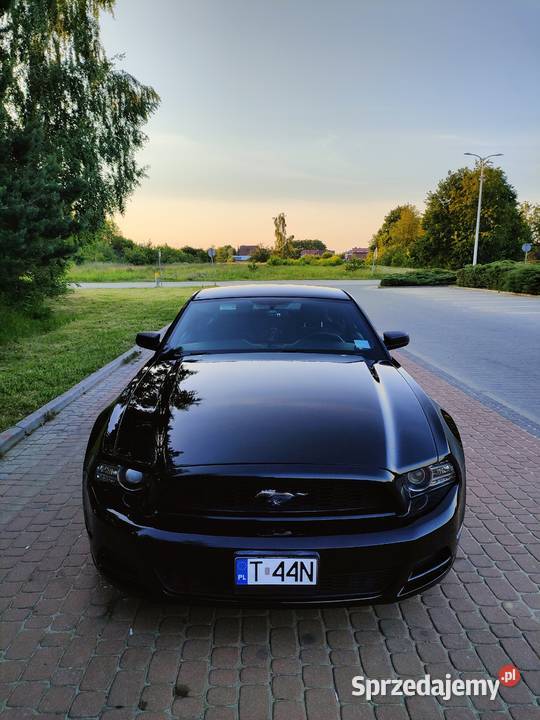 Ford Mustang V 2014r 37v6 manual Mustang Połaniec sprzedam