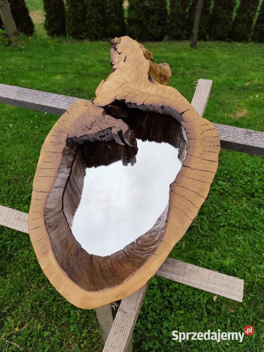 Lustro w pniu drzewa Limanowa