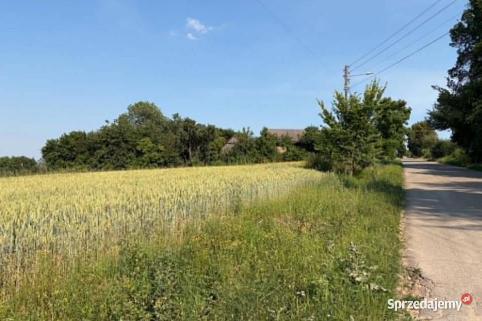 Działka z WZ na sprzedaż Dodów Gm Radziemice Sprzedaż