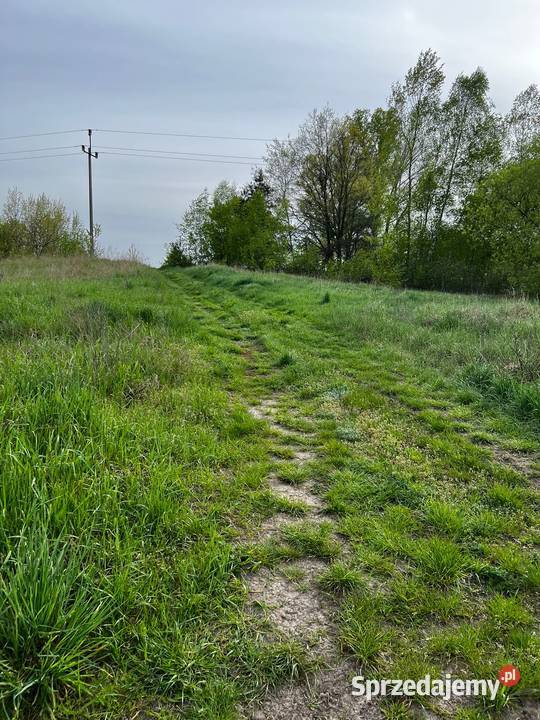 Działka drodze asfaltowej lubuskie Kolsko