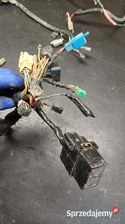 Instalacja elektryczna wiązka przewody części Motoryzacja Gołaczewy