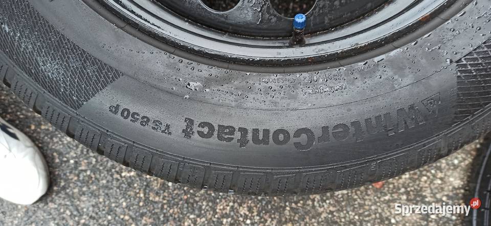Opony zimowe Continental WinterContact TS850P Lwówek Śląski