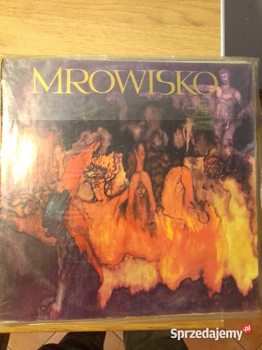 Płyty winylowe płyta winylowa Pyrzyce