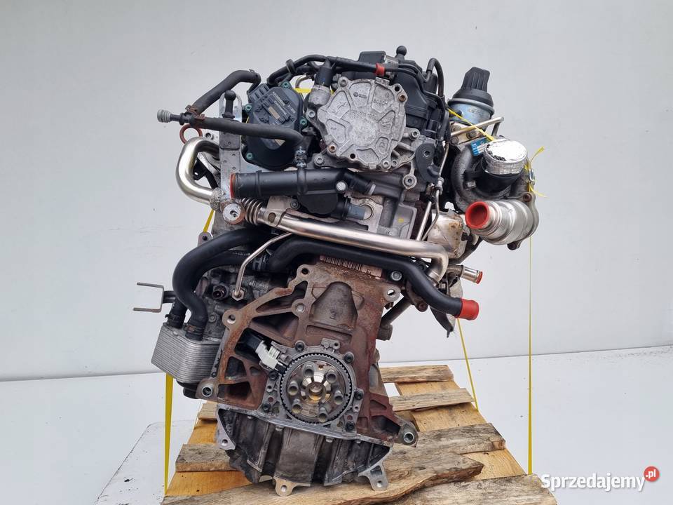 SILNIK KOMPLET Audi A3 II 8P 20 TDI 140 166 CBA Janów