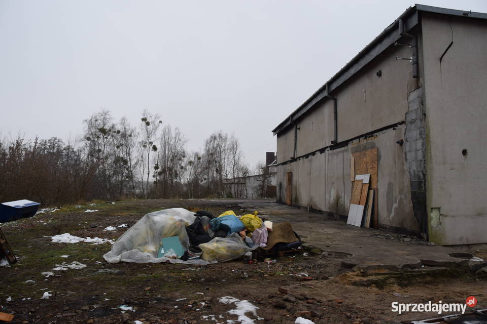 Syndyk sprzeda nieruchomość gruntową zabudowaną Sochaczew