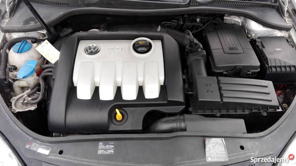 Volkswagen Golf vw Golf v 2004 1 9 tdi bkc Golf warmińsko-mazurskie Łęgajny