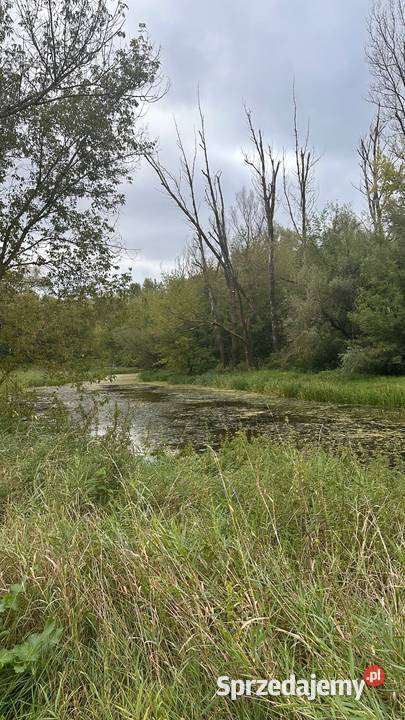 Działka Tarnów Wilga mazowieckie