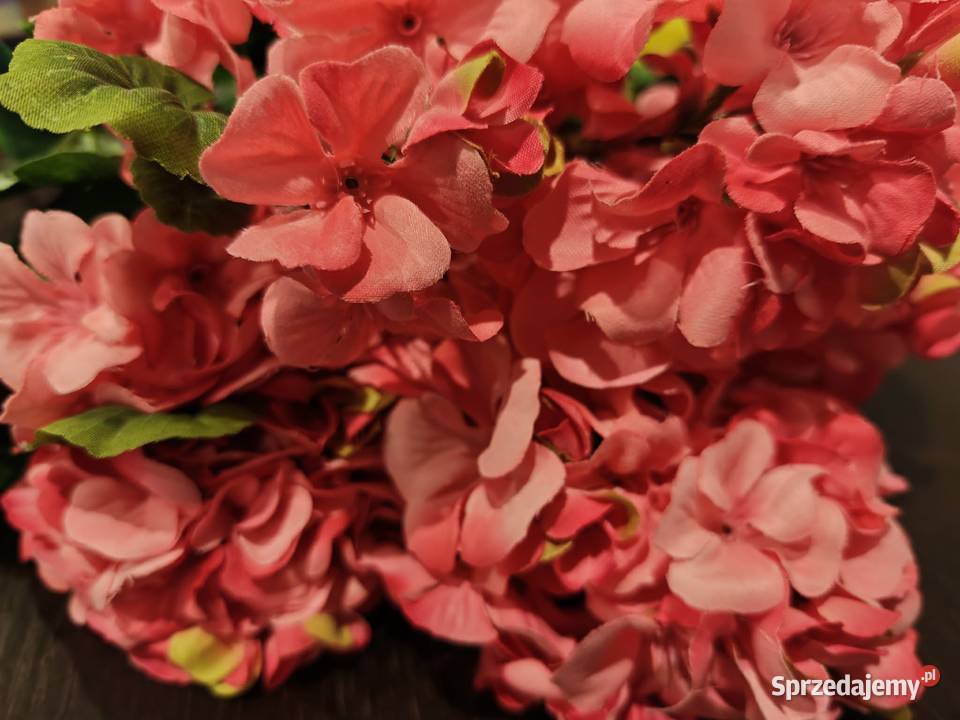 Pelargonie sztuczne bukiety żywe Kwitnące podkarpackie Dębica