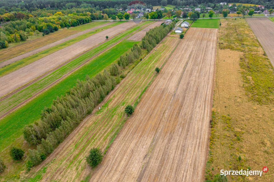 Spokojna działka 1400 m Skotniki Media WZ łódzkie