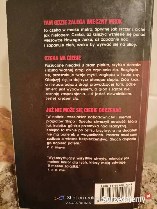 Światło w tunelu Skipp książki pierwsze wydanie sprzedam