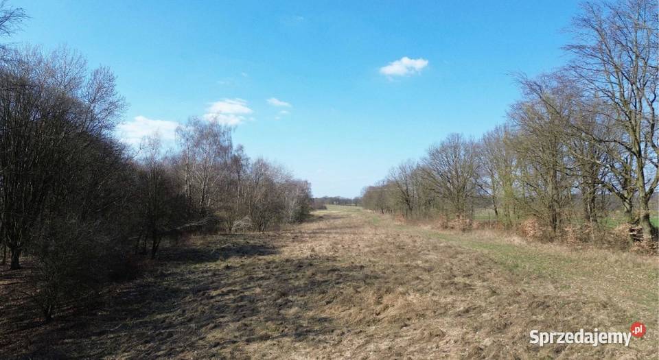 Działki we wsi Kołowo polna sprzedam