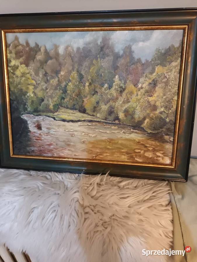 Pejzaż z rzeką i lasem Malbork