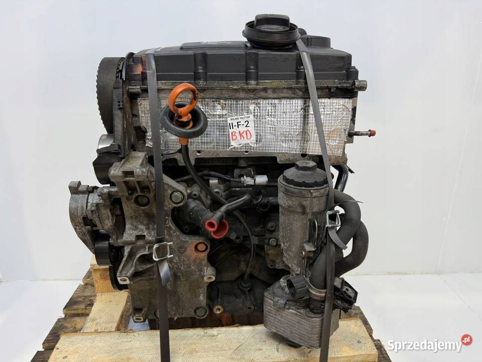 SILNIK BKD Audi A3 II 8P Seat Altea Leon II Chełm