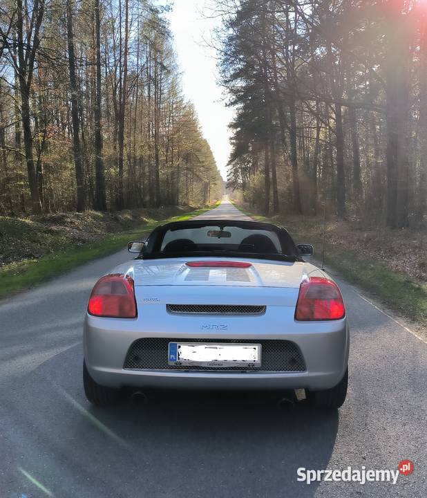 Toyota MR2 Sieniawa