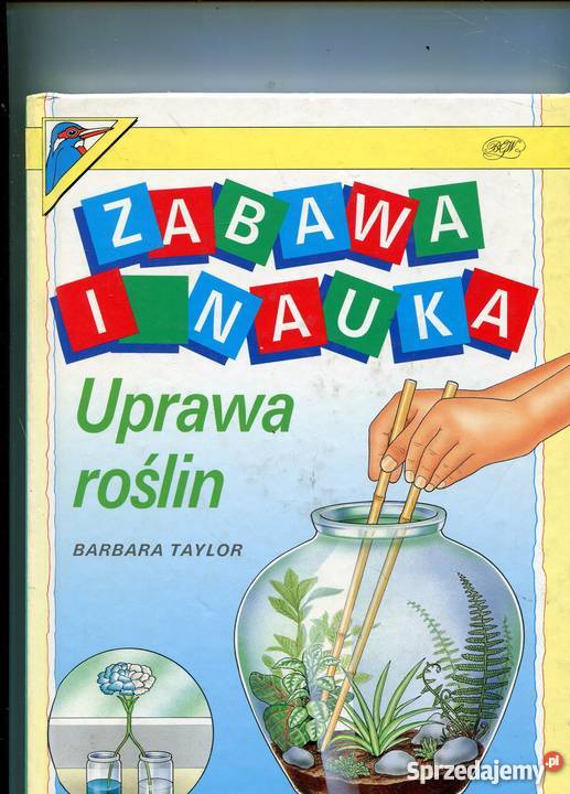 Zabawa i nauka Uprawa roślin Pozostałe Szczecin