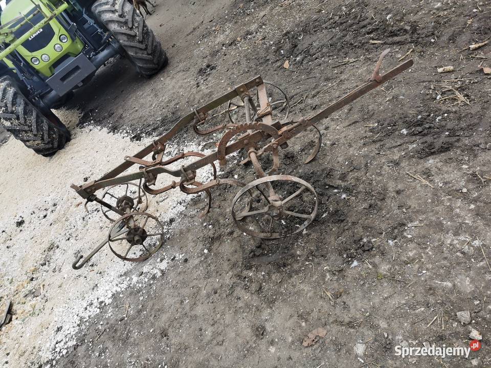 Sprzedam kultywator konny Nowy Korczyn
