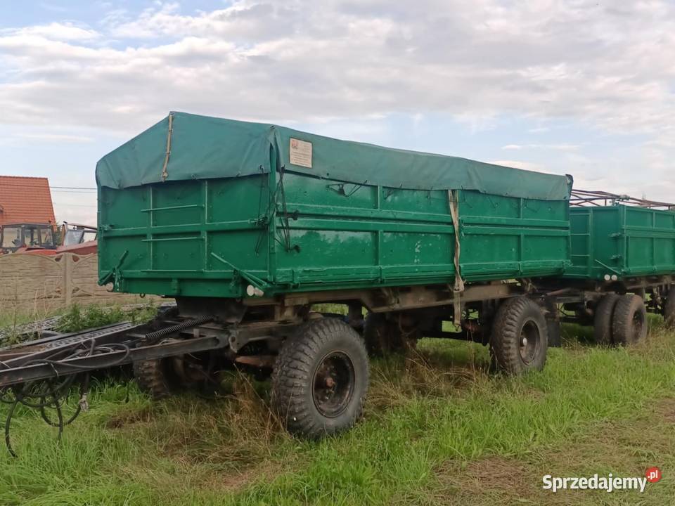 Przyczepa hl80011 Olsztyn