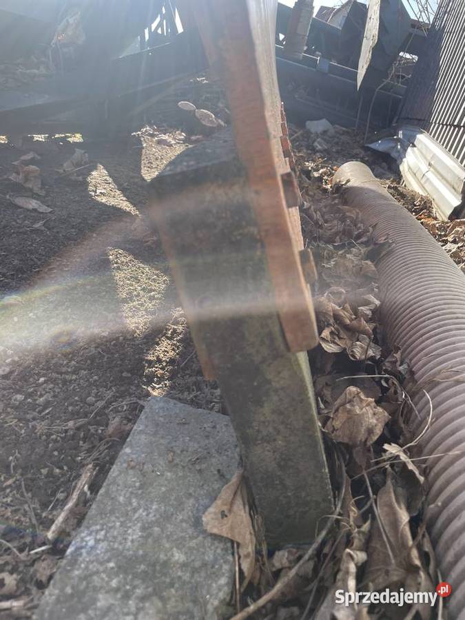 Cat nie Naprawa sprzedam