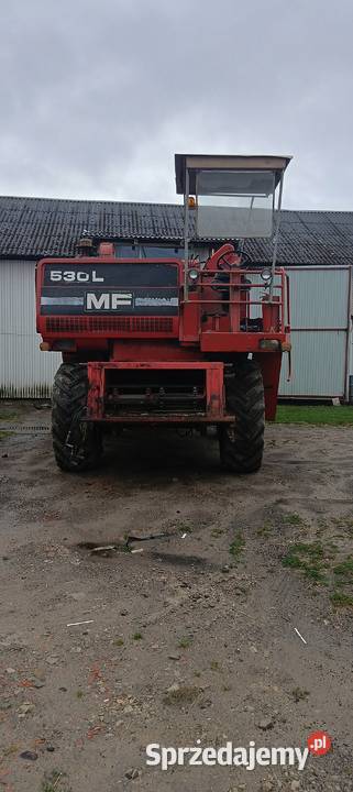 Kombajn zbożowy Massey Ferguson 530 l Zbożowe Zakrzew sprzedam