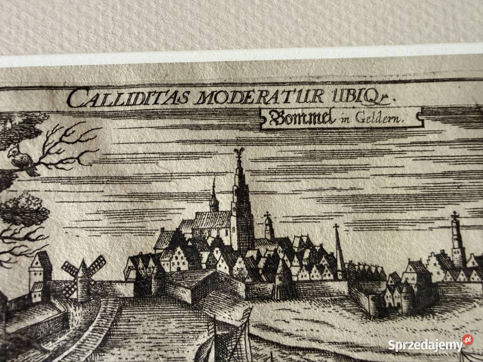 Antyczny miedzioryt 1623 Daniel Meisner Czerwionka-Leszczyny