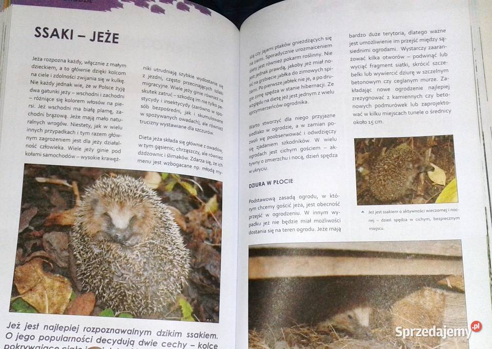 Ogród ostoja zwierząt J Niewolewska Sadownik K lubelskie Chełm