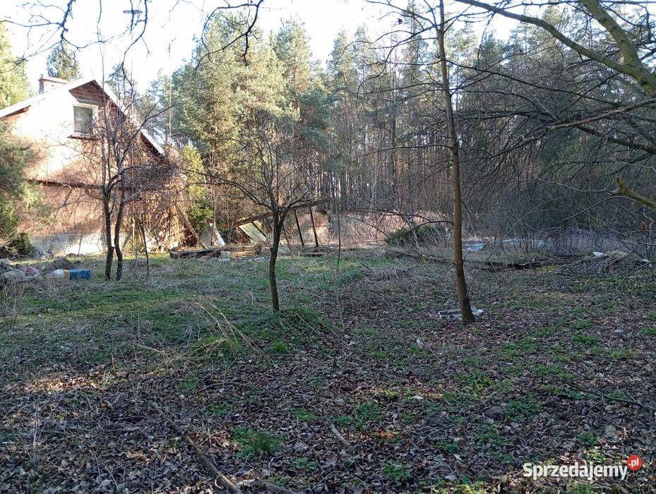 Sprzedam dom z dzialka wolnostojący Sprzedaż Domy Zawadzkie