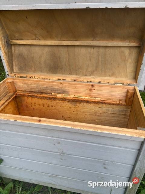 drewniany ule pszczoły Rodziny pszczele