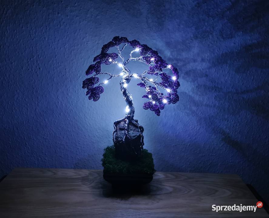 Fioletowe bonsai Doskonały prezent na święta 35 odcienie fioletowego dolnośląskie Bolesławiec