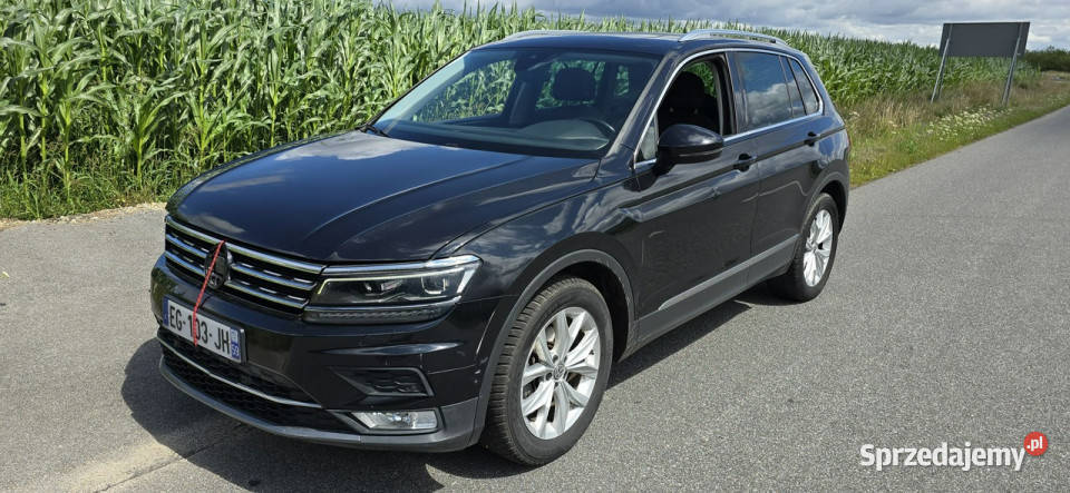 Volkswagen Tiguan Panorama akantara II 20162024 Pleszew