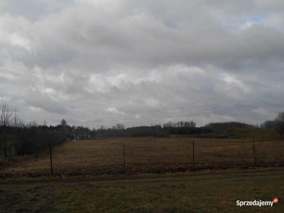 dom z działką pod Mławą Trzcianka-Kolonia sprzedam