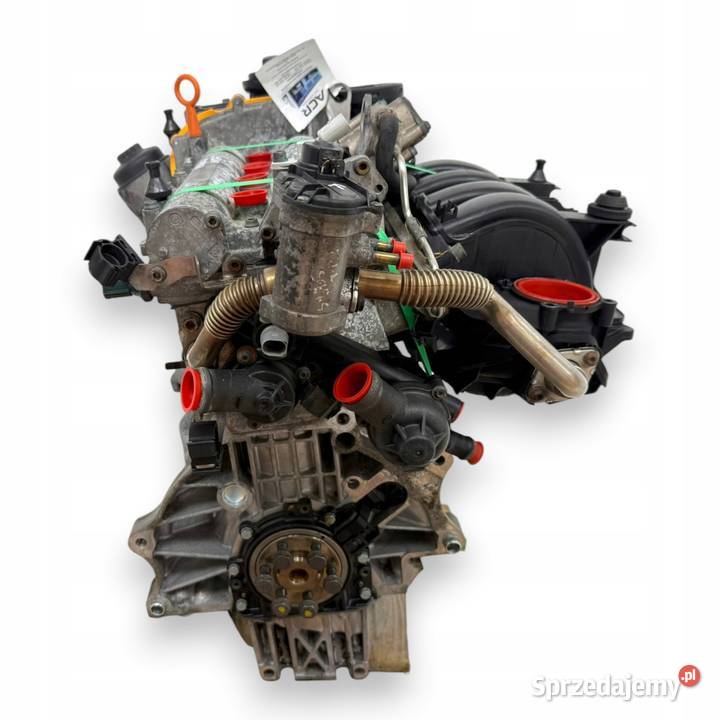 SILNIK BLN VW Golf V Plus 14 FSI 90 benzyna Chełm
