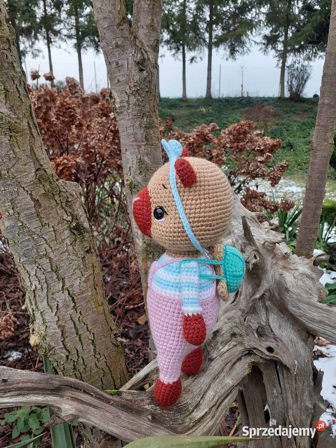 Kapibara na szydełku Nakło nad Notecią