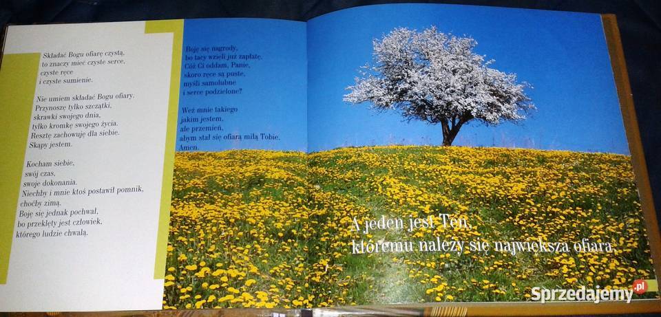 Ciszą Malowane Poezja Ksiądz Tymoteusz Szydło Chełm