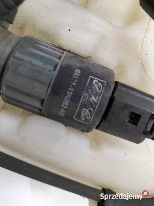 ZBIORNICZEK SPRYSKIWACZY KOMBI DS7317B613AG Ford