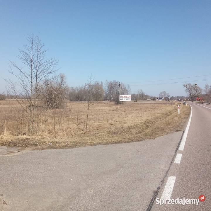 Zygmunty 3015 Mońki