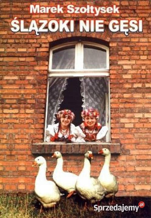 Ślązoki nie gęsi Szołtysek zachodniopomorskie Załom