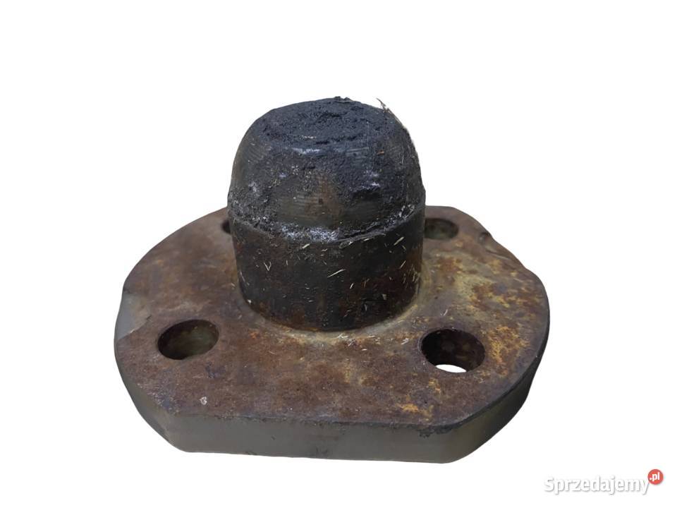 SWORZEŃ CZOP DOLNY 600010350 ER12890 RE57472 Łódź