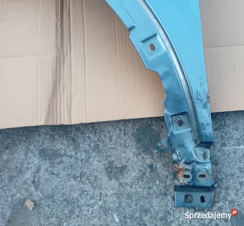 Renault Arkana blotnik przedni lewy wielkopolskie Przeźmierowo sprzedam